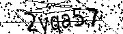 Anti-Bot verification code image